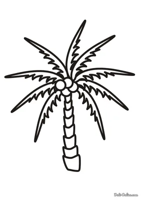 Рисунок Handdrawn пальмы детей Иллюстрация вектора - иллюстрации  насчитывающей листья, песок: 189112097