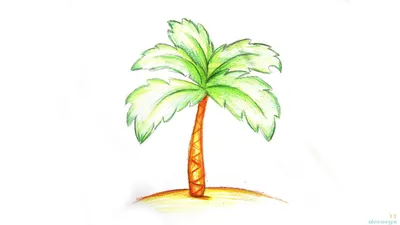 Пальма рисунок для детей (Множество фото!) - 