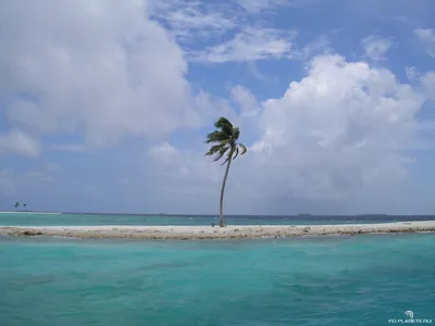 Мальдивы: остров-отель, остров-магазин и остров-пальма