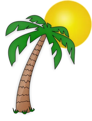 Остров Более Пальмовый - Бесплатная векторная графика на Pixabay - Pixabay