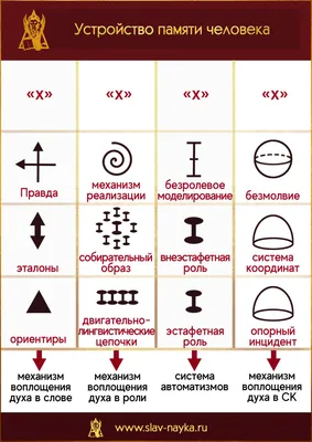 На рабочую память человека удалось повлиять при помощи неинвазивной  магнитной стимуляции