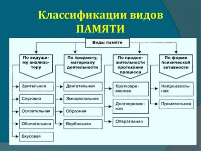 Встреча «Как работает память человека» в РГБМ – события на сайте  «Московские Сезоны»