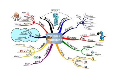 Memoryuniv-referat-brain-memory-18 | UKRUBEKAZ