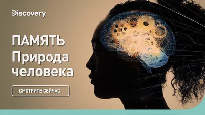 На эффективность работы влияет способность концентрироваться