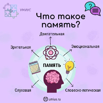 От чего зависит память? - гимнастика: упражнения и инвентарь