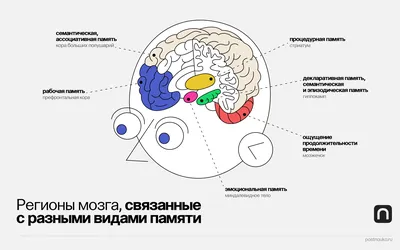 Картинки на день памяти мамы (47 фото) » Юмор, позитив и много смешных  картинок