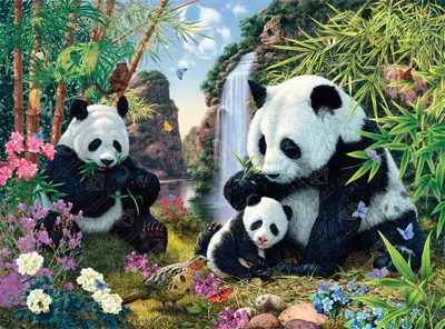 Panda With Flowers Canvas Art by David Loblaw | iCanvas