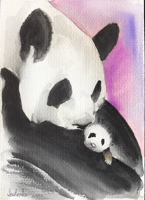 Милые панды для срисовки - фото и картинки 