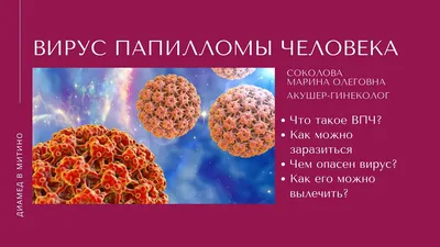 Вирус папилломы человека: что это значит у женщин? — Медицинский центр  «Целитель»