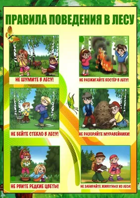 Папка-передвижка " О пользе физкультуры" - Консультации, памятки - Детский  сад и школа - Персональный сайт Жевлаковой Ольги