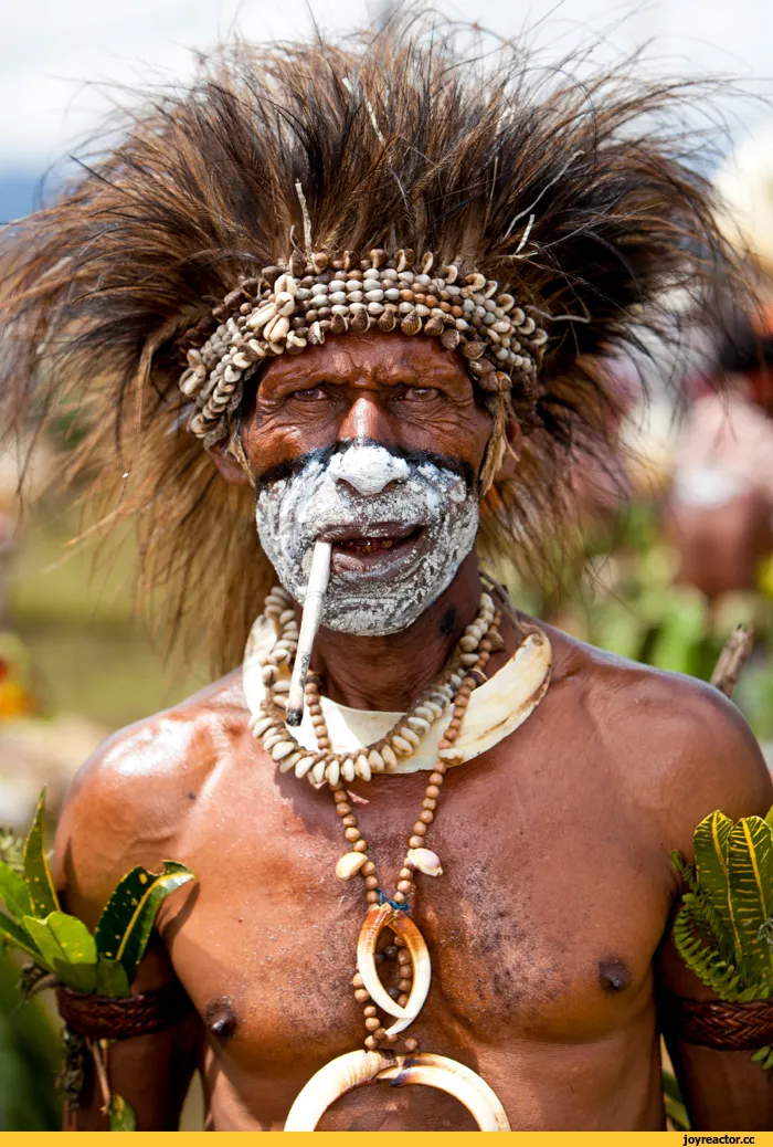 Племя гвинея. Папуа новая Гвинея Папуасы. Папуасы новой Гвинеи. Вождь племени тумба юмба. Аборигены.