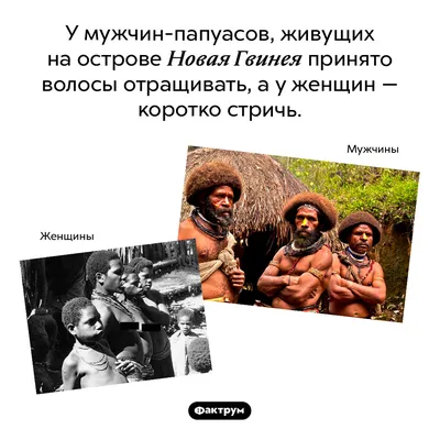 Путешественник из Адыгеи по технологии папуасов-людоедов построил  дом-скворечник для туристов