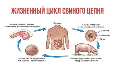 Взяли в голову.