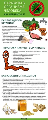 Самые распространенные паразиты человека