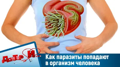 Иллюстрация 1 из 44 для Паразиты человека. Учебное пособие - Владимир  Тимоханов | Лабиринт - книги. Источник: Лабиринт