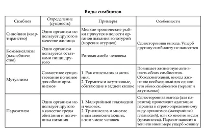 Паразиты человека: мы то, что нас ест