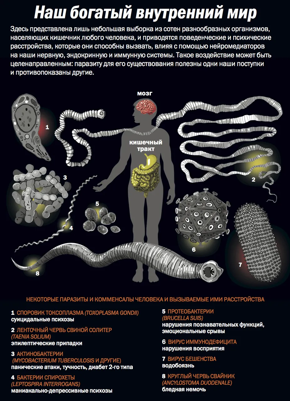 Какие Бывает Паразиты Фото