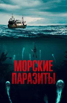 Пон Чжун Хо — о фильме «Паразиты», классовом неравенстве и о том, почему  кино лучше смотреть в кинотеатрах