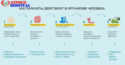 Исследования на наличие паразитов: анализы крови, мочи, кала,  УЗИ-диагностика