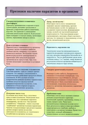 Паразиты в организме человека: обзор эффективных мер профилактики