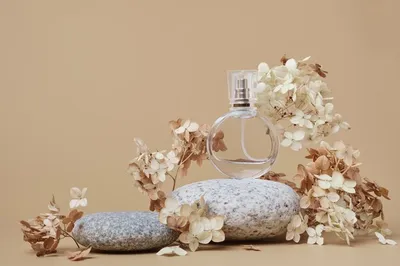 Фото Perfume, более 64 000 качественных бесплатных стоковых фото