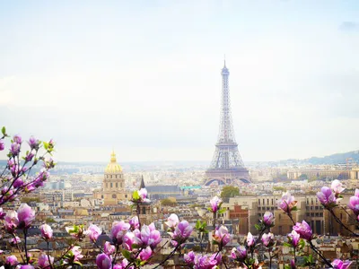 Весенний Париж очарователен. | Paris photography, Paris, Around the worlds