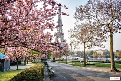 Чем заняться в Париже весной 2024 года? Идеи на сезон - 
