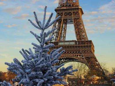 Обои Париж, Эйфелева башня, Сады Трокадеро, Германия, сад Тюильри на  телефон Android, 1080x1920 картинки и фото бесплатно
