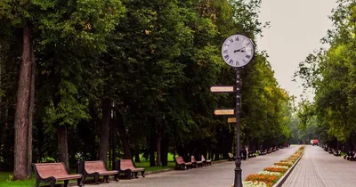 Где покататься на коньках в Москве? Полный гид по катку в Парке Горького,  инструкции - Чемпионат