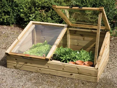 Парник из оконной рамы своими руками | Cold frame gardening, Cold frame,  Building a raised garden