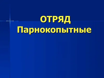 Одно из самых опасных животных | Пикабу