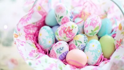 Красивые пасхальные яйца и ушки кролика на светлом фоне :: Стоковая  фотография :: Pixel-Shot Studio