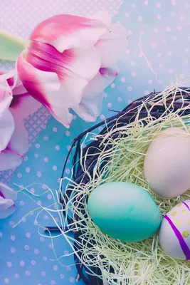 Покрасить яйца на Пасху: простые способы