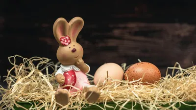 Милый пасхальный кролик держит яйцо | Премиум векторы | Рисунки ключи,  Кролик, Рисунки кроликов