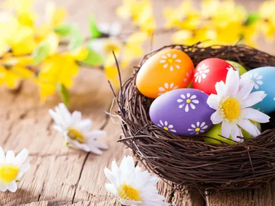 Почему на Пасху красят яйца и пекут куличи. История и традиции праздника