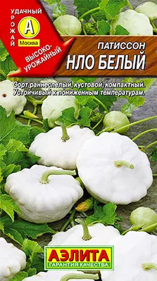 Купить семена Патиссон НЛО белый от Аэлита, 2364