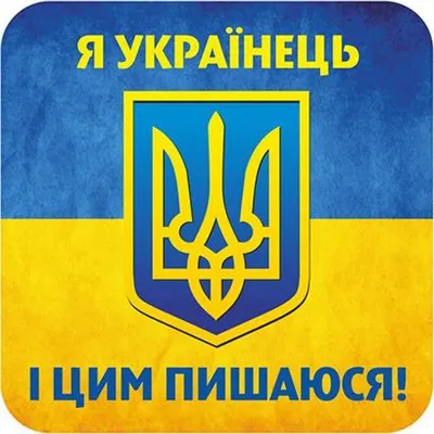 Патриотические наклейки на авто Z и V Своих не бросаем виниловые, 20х30 см  - купить по выгодным ценам в интернет-магазине OZON (538157809)