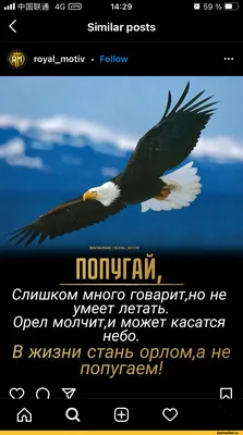 Обои на телефон крутые популярные дерзкие пацанские - фото и картинки  