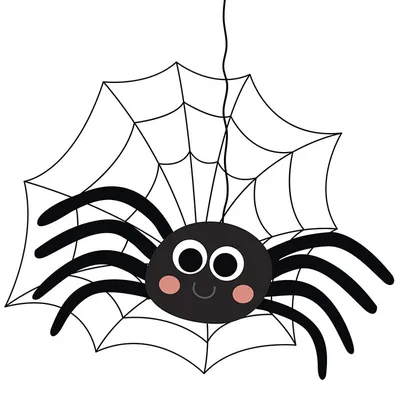 Про пауков для детей — интересные факты о пауках для детей