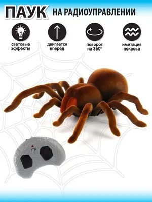 Электрический Паук игрушка паук игрушки для детей с светящимися глазами  розыгрыш игрушки для детей паук розыгрыш игрушка с дистанционным  управлением с реалистичной | AliExpress