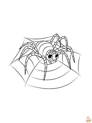 Страницы для раскрашивания паука для детей - GBcolouring