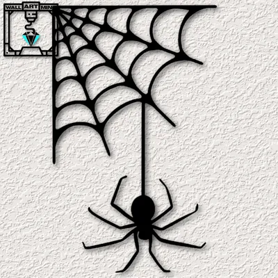 Паутина человека паука картинки - 75 фото