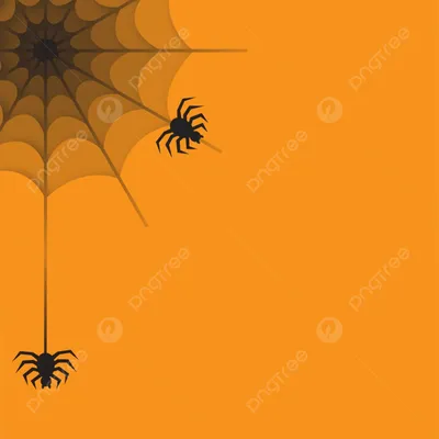 Украшения на Хэллоуин Паук Паутина треугольная Мега наружный двор Декор  стрейч паутина страшные реквизиты шутер с черным пауком | AliExpress