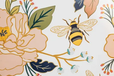 Обои макро, вишня, пчела, ветка, сакура, цветение, цветки картинки на  рабочий стол, раздел макро - скачать