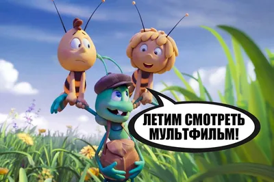 Пчёлка Майя: Медовый движ + Пчёлка Майя (2014) (Blu-ray + DVD) - купить  фильм Blu-ray по цене 599 руб в интернет-магазине 1С Интерес
