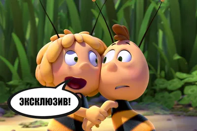 Пчёлка Майя и Кубок Мёда