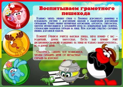 Набор знаков ПДД, 24 шт: купить для школ и ДОУ с доставкой по всей России