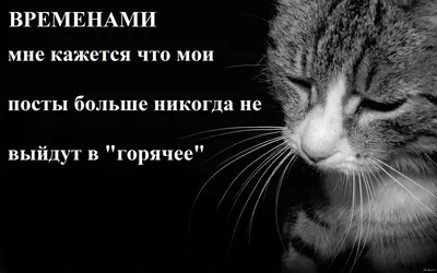 Грусть, печаль, слезы, пустота в …» — создано в Шедевруме