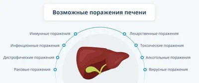 Поражение печени: виды и причины, симптомы и лечение