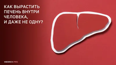 Метастазы в печени: причины, симптомы и лечение всех видов заболеваний в  ФНКЦ ФМБА